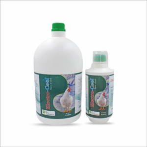 Electrocool: Save a bird