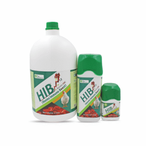HIB: The Complete Haematinic Supplement