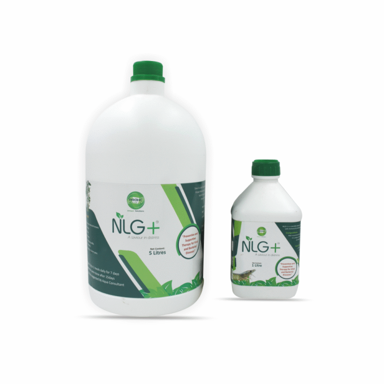 NLG+: A saviour in distress