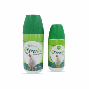 Streslev: Relax & Active