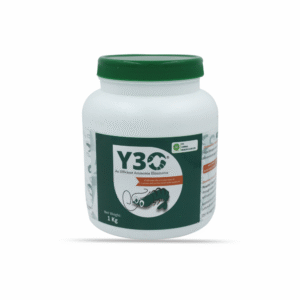 Y3O: An Efficient Ammonia Eliminator