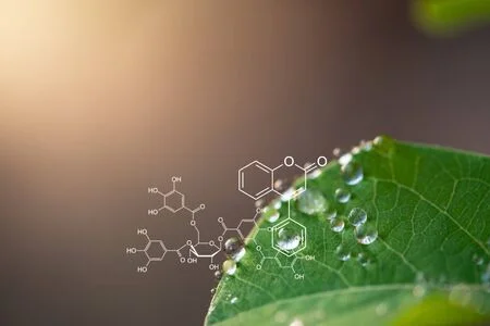 Active Pharmaceutical Ingredient