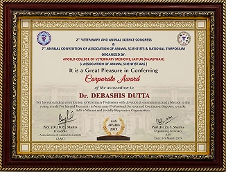 Corporate Award by