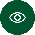 OUR VISION