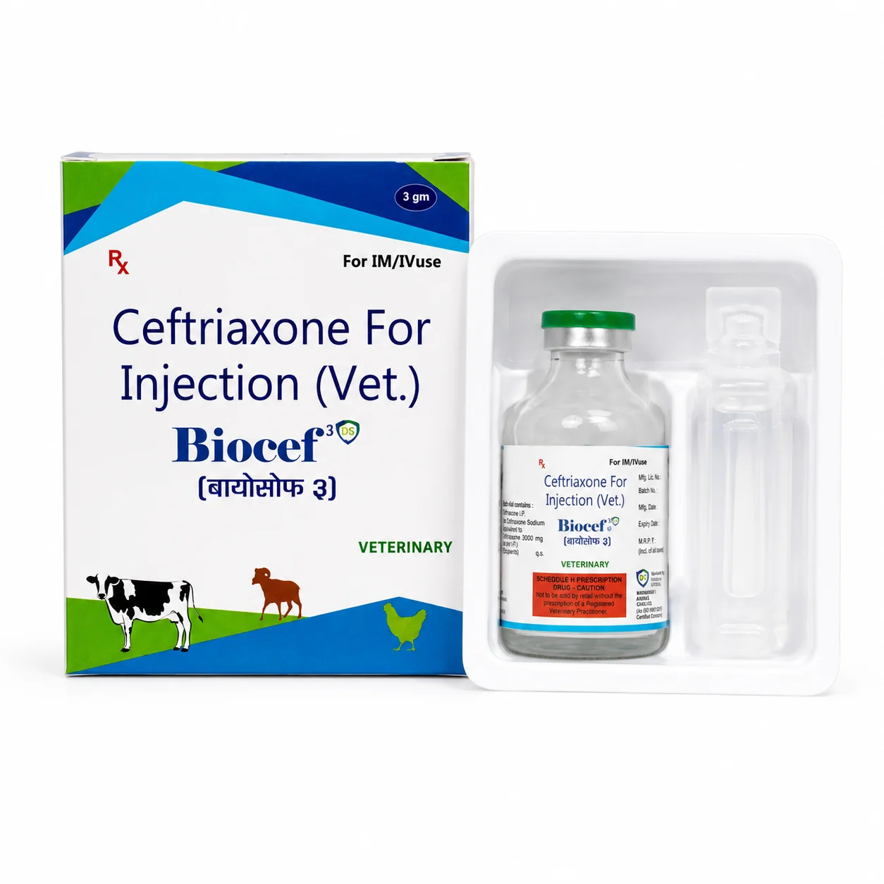 Injection - BIOCEF
