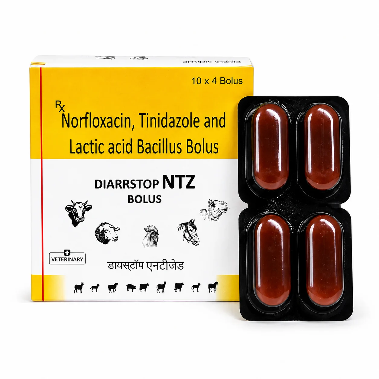 Bolus & Tablet - DIARRSTOP NTZ BOLUS (VET)