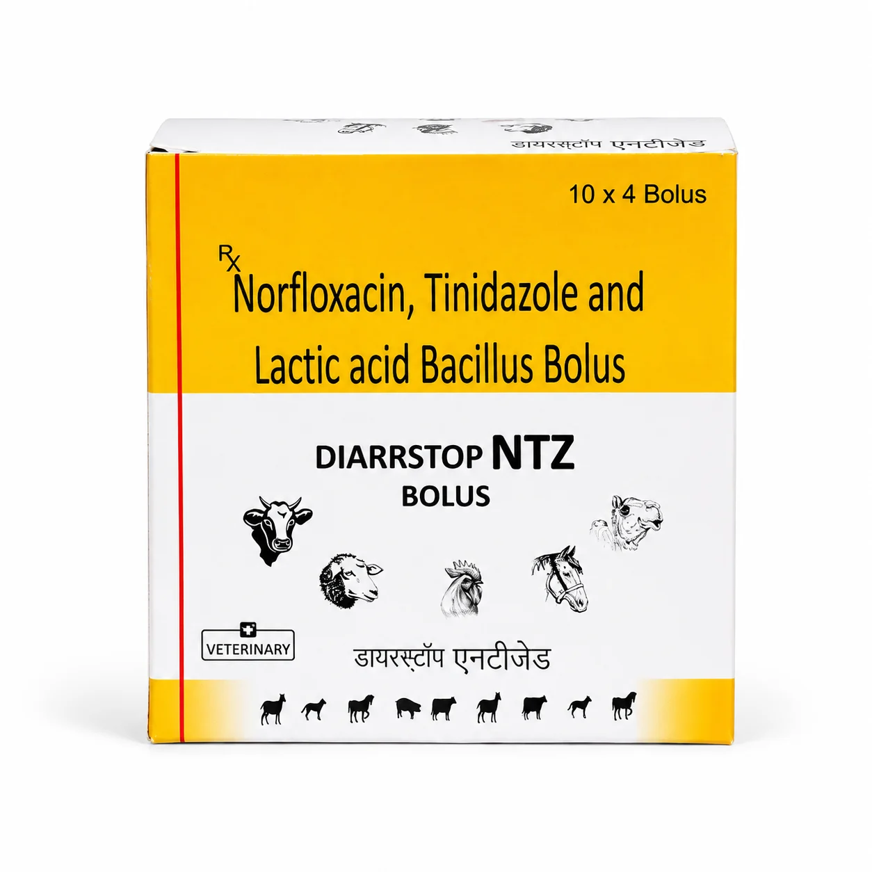 Bolus & Tablet - DIARRSTOP NTZ BOLUS (VET)