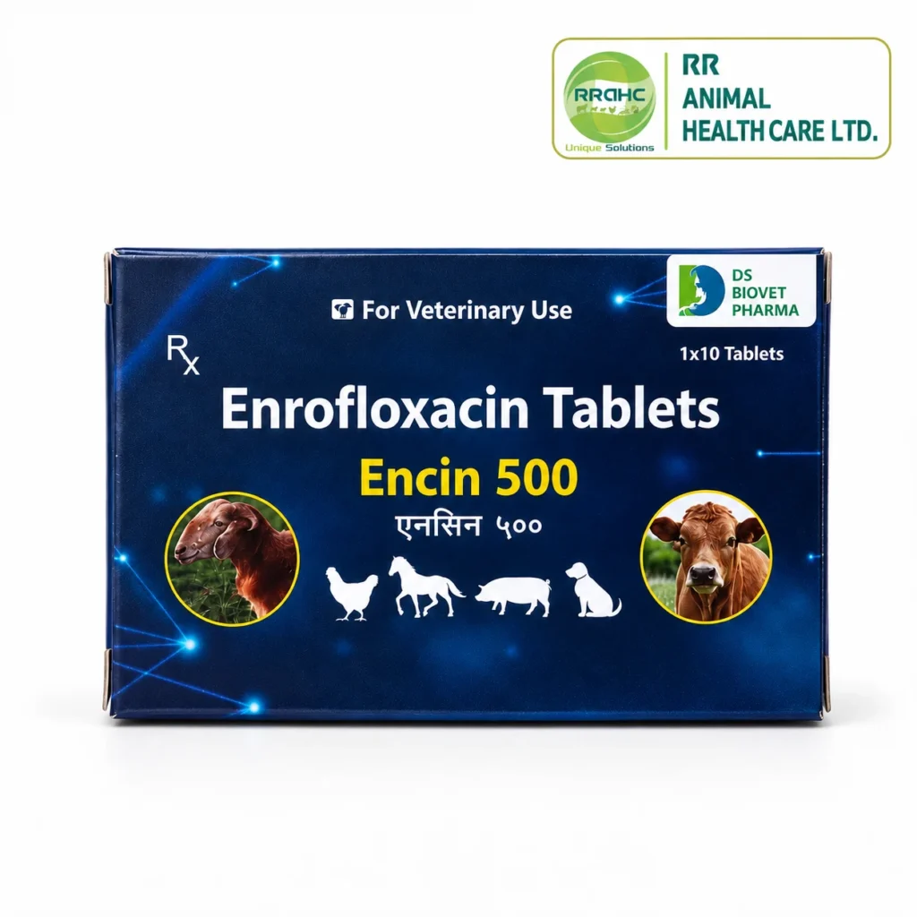 ENCIN 500