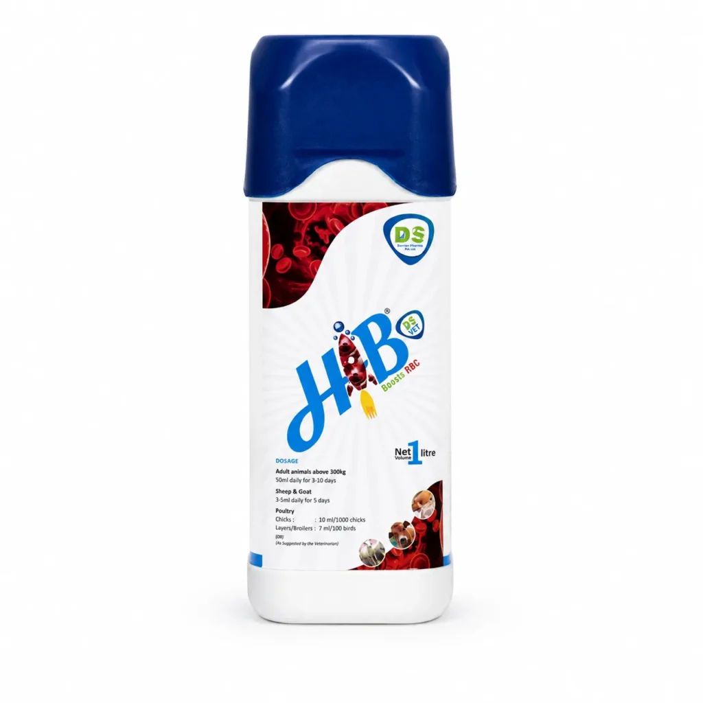 HIB