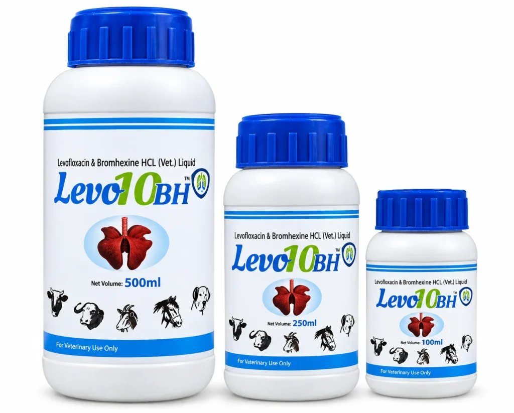 LEVO10 BH