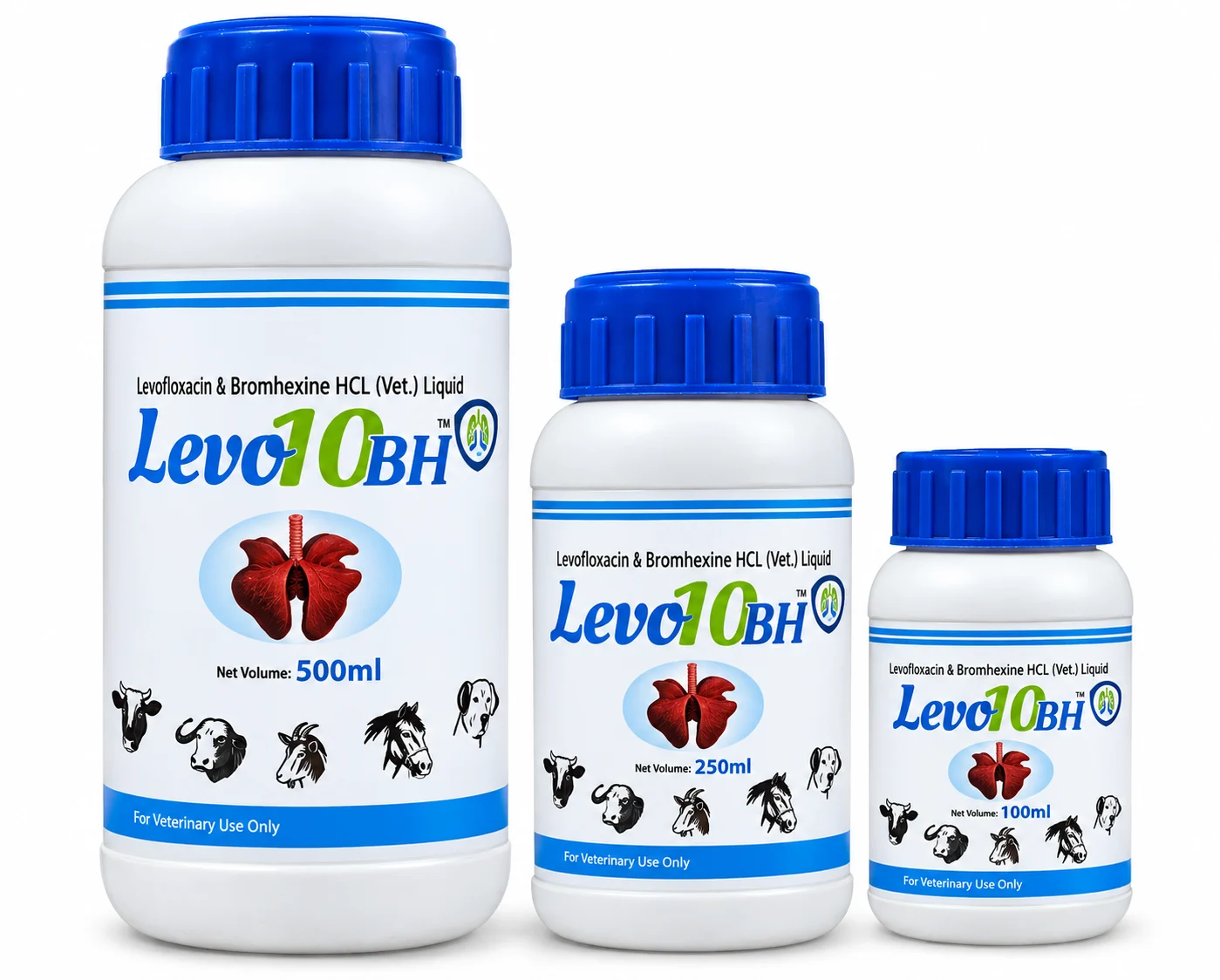 Antibiotic / Oral Liquid - LEVO10 BH