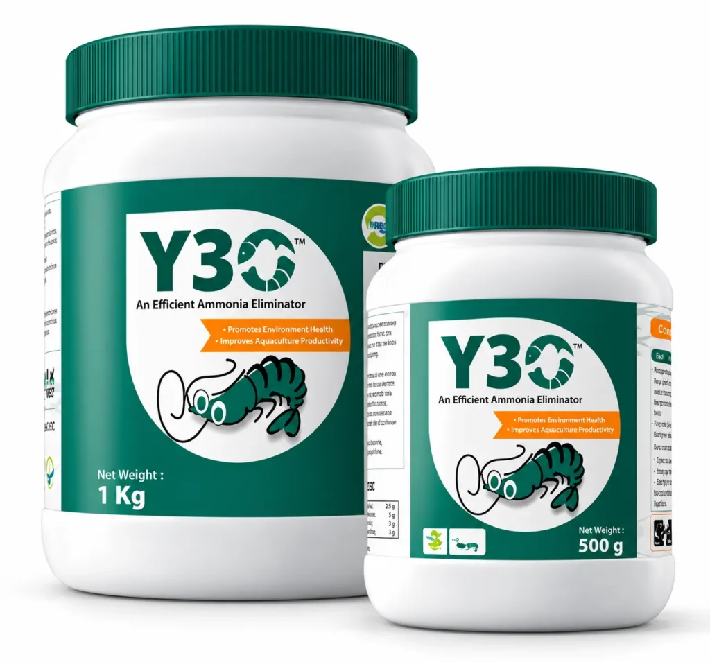 Y30